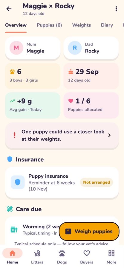 Litter overview with insurance, care due and milestones