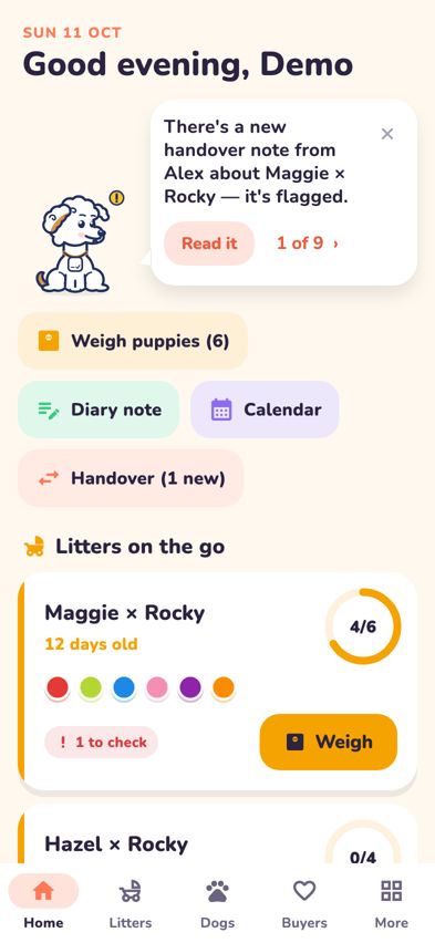 The Home tab with Bernie's message, quick actions and litters on the go