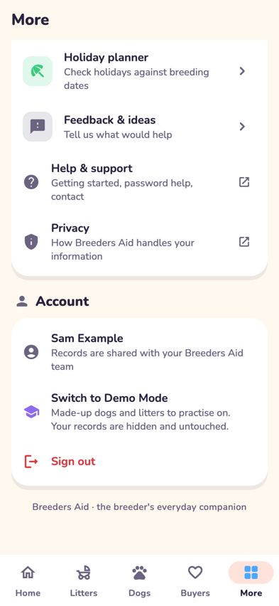 The More tab with Switch to Demo Mode in the Account section