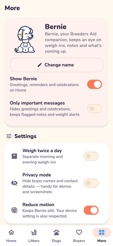 The More tab with Bernie's options and Settings
