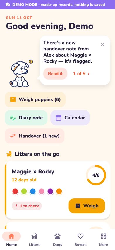 Home in practice mode with the DEMO MODE bar across the top