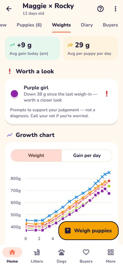 The Growth chart on the Weights tab, one line per puppy